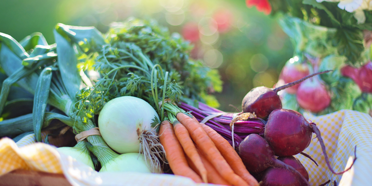 Loại rau củ chứa nhiều chất dinh dưỡng tốt cho sức khỏe và làm đẹp