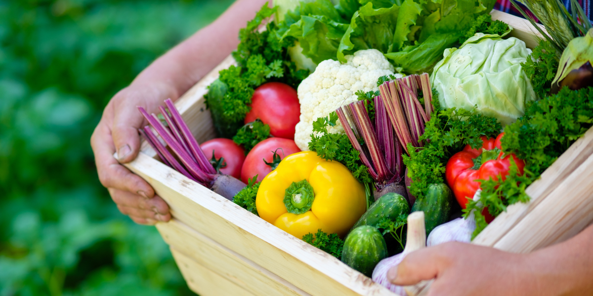 Ăn bao nhiều rau củ quả mỗi ngày là đủ?