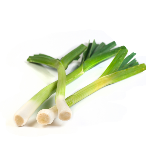 BARO ( LEEK )
